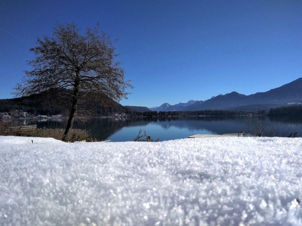 Ossiachersee Apartments Steindorf am Ossiacher See Eksteriør billede